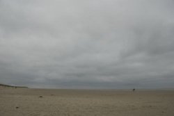 _DSC3214