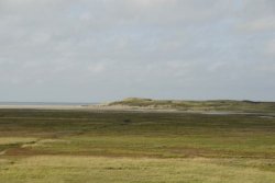 _DSC3276