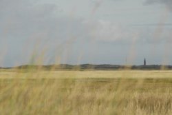 _DSC3279