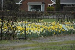 egmond_april_0228_2012
