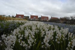 egmond_april_0243_2012