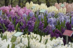 egmond_april_0244_2012