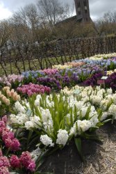 egmond_april_0251_2012