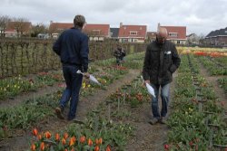 egmond_april_0253_2012