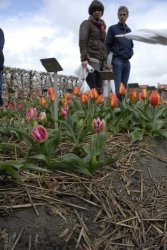 egmond_april_0254_2012