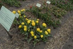 egmond_april_0256_2012