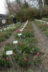 egmond_april_0257_2012