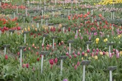 egmond_april_0258_2012