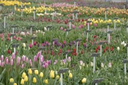 egmond_april_0259_2012