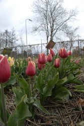 egmond_april_0261_2012