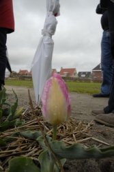 egmond_april_0269_2012