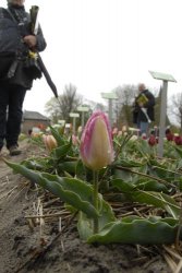egmond_april_0270_2012