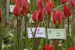 egmond_april_0271_2012
