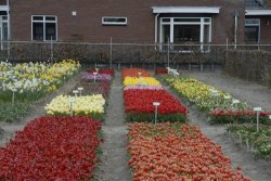 egmond_april_0274_2012