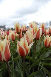 egmond_april_0276_2012