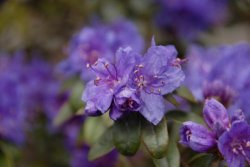 egmond_april_0284_2012