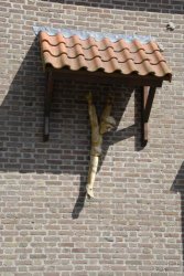 egmond_april_0389_2012
