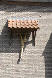 egmond_april_0390_2012