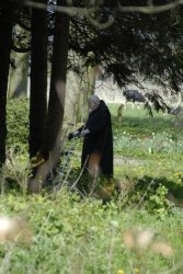 egmond_april_0391_2012