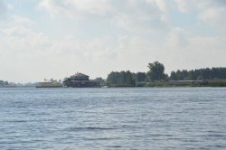 DSC_5000