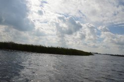 DSC_5024