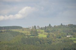 DSC_7799
